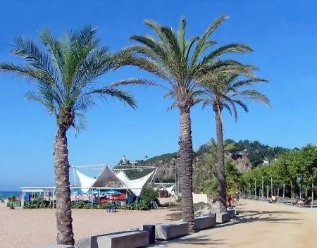Encantador Estudio Apartment